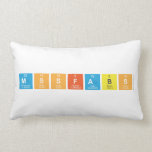 Mssfabs  Pillows (Lumbar)