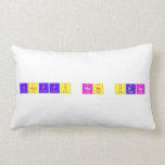Happy new year  Pillows (Lumbar)