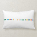 The Maharajh’s Secret Laboratory   Pillows (Lumbar)