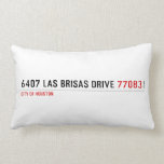 6407 Las Brisas Drive  Pillows (Lumbar)