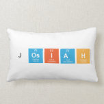Josiah  Pillows (Lumbar)