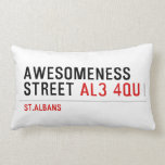 awesomeness street  Pillows (Lumbar)