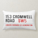 153 CROMWELL ROAD    Pillows (Lumbar)