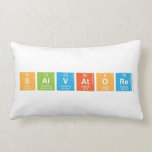 Salvatore  Pillows (Lumbar)