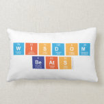 Wisdom
 Beats  Pillows (Lumbar)