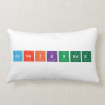 scheikunde  Pillows (Lumbar)