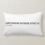 Carpetbagging Shithouse street  Pillows (Lumbar)
