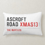 ASCROFT ROAD  Pillows (Lumbar)