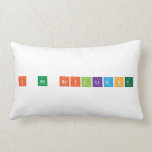 I Am Brilliant  Pillows (Lumbar)