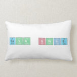 Ceva Swine  Pillows (Lumbar)