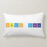 hasan akca  Pillows (Lumbar)