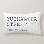 Yushantha  Street  Pillows (Lumbar)