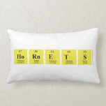 Hornets  Pillows (Lumbar)