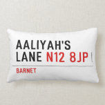 Aaliyah's  Lane  Pillows (Lumbar)
