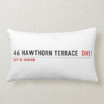 46 Hawthorn Terrace   Pillows (Lumbar)
