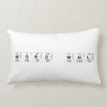 Word Wall  Pillows (Lumbar)