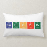 Catorce  Pillows (Lumbar)