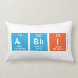 Abhi  Pillows (Lumbar)