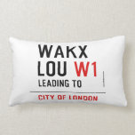 WAKX LOU  Pillows (Lumbar)