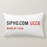 sipho.com  Pillows (Lumbar)