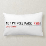 No 1 Princes Park   Pillows (Lumbar)