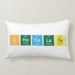 chocolate  Pillows (Lumbar)