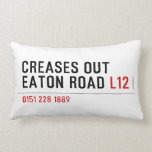 Creases Out Eaton Road  Pillows (Lumbar)
