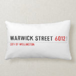 Warwick Street  Pillows (Lumbar)