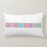 Historia  Pillows (Lumbar)