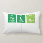 PAUL
   Pillows (Lumbar)