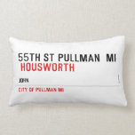 55th st pullman  mi   Pillows (Lumbar)