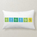 Investigate  Pillows (Lumbar)