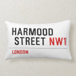 Harmood  street  Pillows (Lumbar)