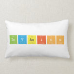 Invasion  Pillows (Lumbar)