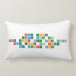 never gonna
 give you up
 never gonna let you down
 never gonna run around
 and dessert you  Pillows (Lumbar)