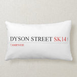 Dyson Street  Pillows (Lumbar)