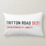 TRITTON ROAD  Pillows (Lumbar)