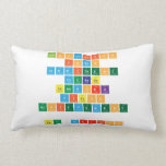 inspiration
 focus
 commitment
 courage
 teamwork
 vision
 achievement
 
 team morriss  Pillows (Lumbar)