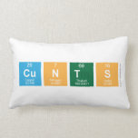CUNTS  Pillows (Lumbar)