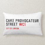 CAKE PROVOCATEUR  STREET  Pillows (Lumbar)