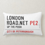 London Road.Net  Pillows (Lumbar)