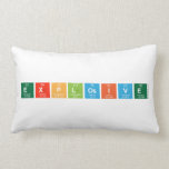 explosive  Pillows (Lumbar)
