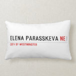 ELENA PARASSKEVA  Pillows (Lumbar)
