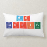 Mr
 Carrier
   Pillows (Lumbar)