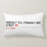 Possibly yes, probably not  Street  Pillows (Lumbar)