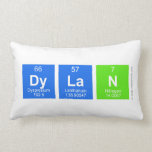 Dylan  Pillows (Lumbar)