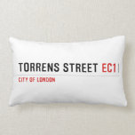 Torrens Street  Pillows (Lumbar)