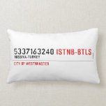 5337163240  Pillows (Lumbar)