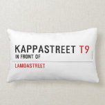 Kappastreet  Pillows (Lumbar)