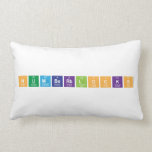 Numberblocks  Pillows (Lumbar)